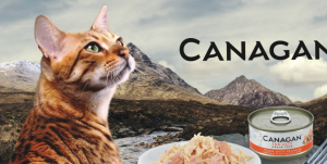 Zdrowe karmy dla kotów - karma Canagan