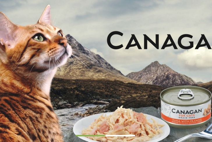 Zdrowe karmy dla kotów – karma Canagan